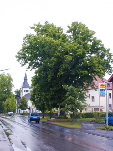 Bild 1 von Linde an der Bentfelder Straße